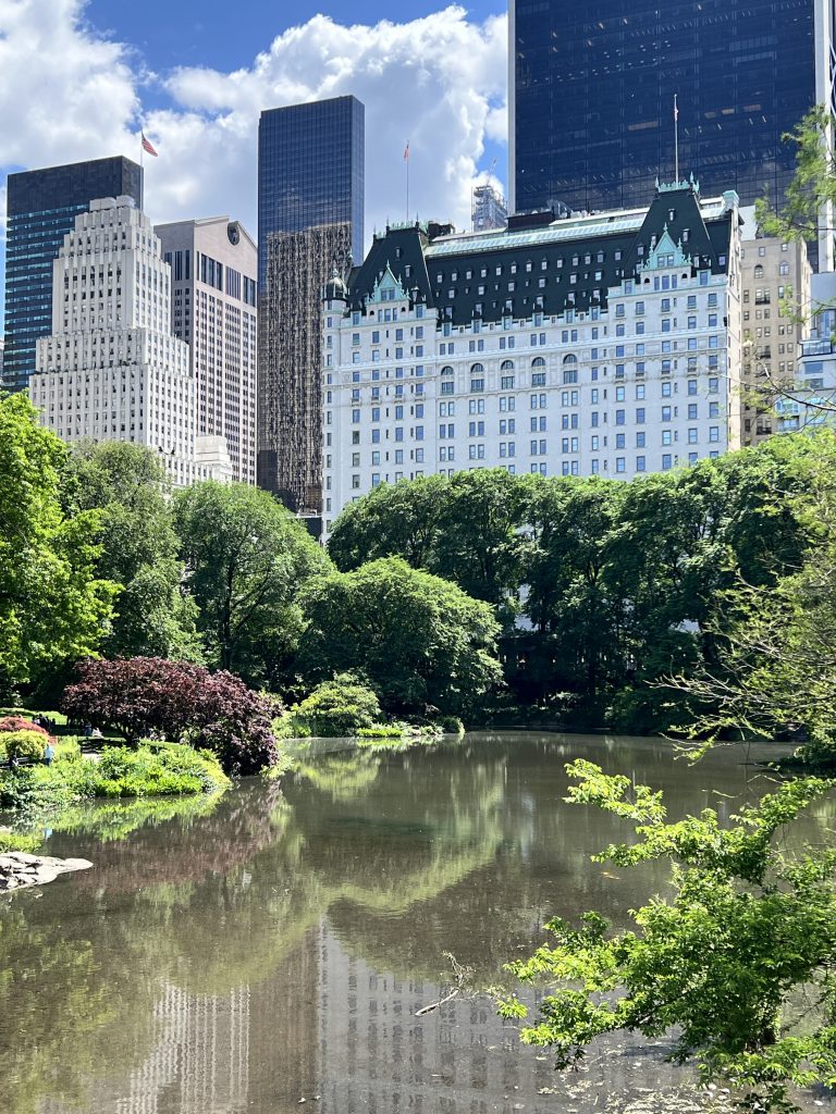 Central Park - New York