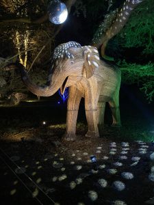 Sudeley Spectacle of Light